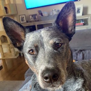 Meet your Posher, Katelyn